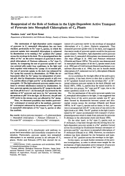 Reappraisal of the Role of Sodium in the Light