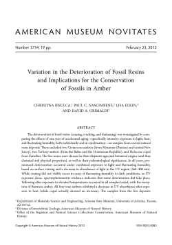 american museum novitates - AMNH Library Digital Repository