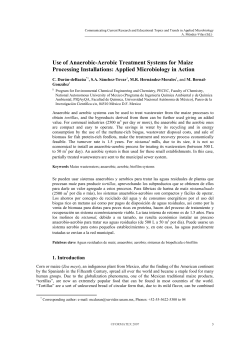 Use of Anaerobic-Aerobic Treatment Systems for Maize Processing