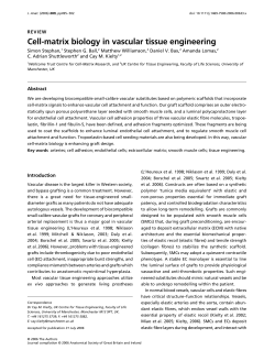 Cell-matrix biology in vascular tissue engineering