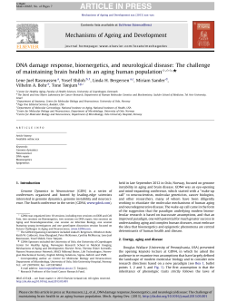 DNA damage response, bioenergetics, and neurological disease