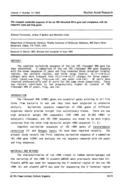 The complete nucleotide sequence of the rat 18S ribosomal RNA