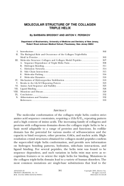 molecular structure of the collagen triple helix