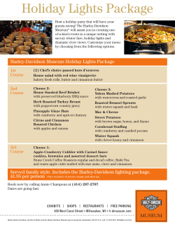 Holiday Lights Package - Harley