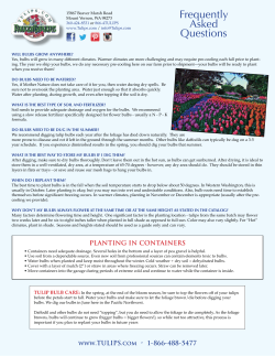 Frequently Asked Questions