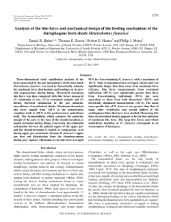 Analysis of the bite force and mechanical design of the feeding