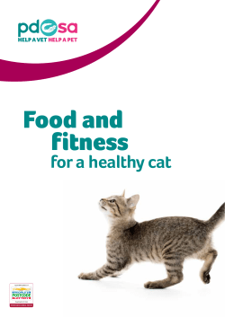 You can our free guide to feeding your cat