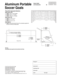 Aluminum Portable Soccer Goals
