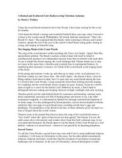 A Beaked and Feathered God: Rediscovering Christian Animism by