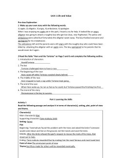Unit 1 Life and Value