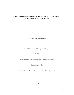 The Philippine Shell Industry with Special Focus on