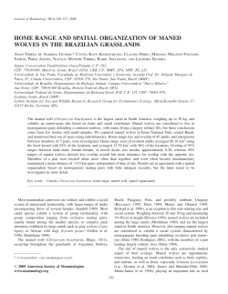 home range and spatial organization of maned wolves in the