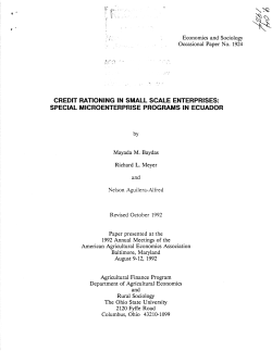 credit rationing in small scale enterprises: special microenterprise