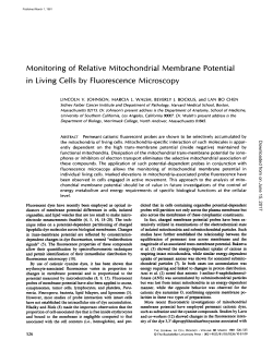 Monitoring of Relative Mitochondrial Membrane Potential in Living