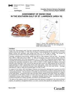 assessment of snow crab in the southern gulf of st