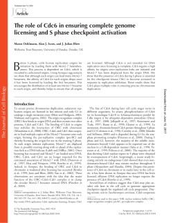 The role of Cdc6 in ensuring complete genome licensing and S