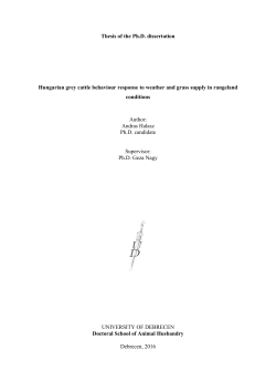 Thesis of the Ph.D. dissertation Hungarian grey cattle