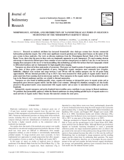 MORPHOLOGY, GENESIS, AND DISTRIBUTION OF NANOMETER
