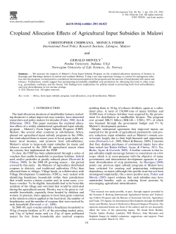 Cropland Allocation Effects of Agricultural Input Subsidies in Malawi