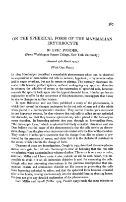 on the spherical form of the mammalian erythrocyte