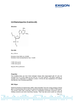 2,6-Diamoinpurine (2-amino-dA)
