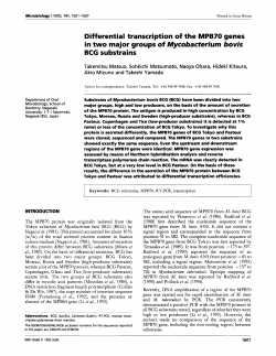 Differential transcription of the MPB7O genes in two