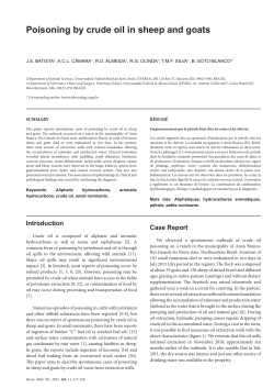 Poisoning by crude oil in sheep and goats