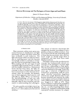 Electron Microscopy and The Phylogeny of Green Algae and Land