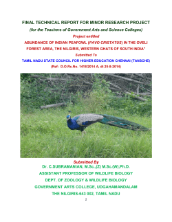 Abundance of Indian Peafowl (Pavp Cristatus)in the Oveli Forest