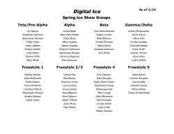 Digital Ice - SQSA Parade