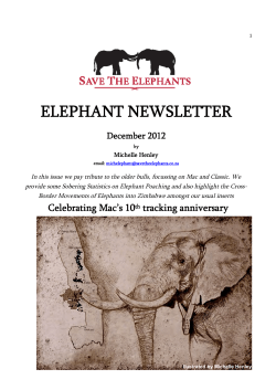 2012 Newsletter - Elephants Alive
