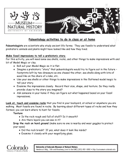 Paleontology activities to do in class or at home