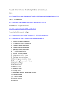 Tissues to sketch from: Use the following Websites to review tissues