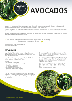 More Information Avocados 300 kb