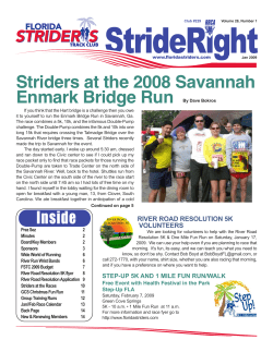 Striders at the 2008 Savannah Enmark Bridge Run