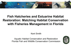 FLORIDA`S NEW SALTWATER FISH HATCHERY NETWORK