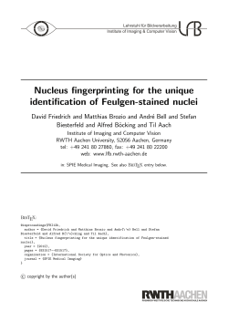 Nucleus fingerprinting for the unique identification of Feulgen