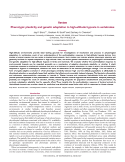 Review Phenotypic plasticity and genetic adaptation to high