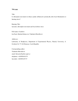 Is chloroplast movement in tobacco plants influenced systemically
