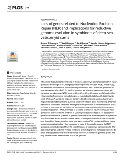 Loss of genes related to Nucleotide Excision Repair (NER) and