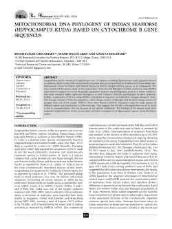 Mitochondrial DNA phylogeny of Indian seahorse