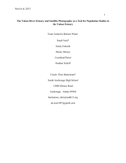 The Yukon River Estuary and Satellite