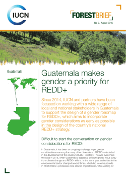 Guatemala makes gender a priority for REDD+