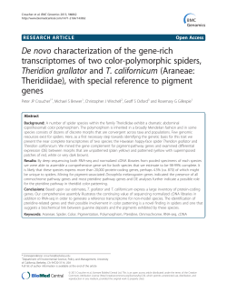 De novo characterization of the gene-rich