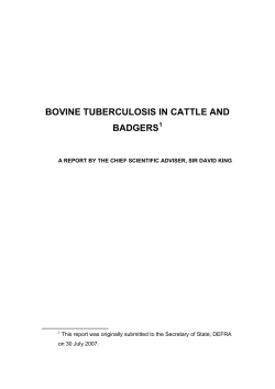 Bovine Tuberculosis in Cattle and Badgers