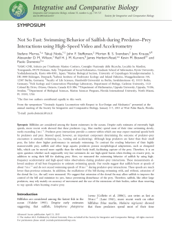 Not So Fast: Swimming Behavior of Sailfish during Predator&ndash;Prey