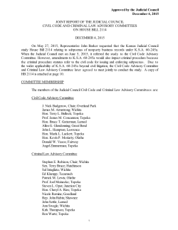 Joint Report of the Civil Code and Criminal Law Advisory Committees