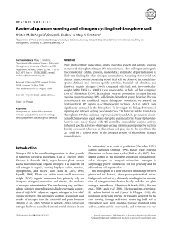 Bacterial quorum sensing and nitrogen cycling in