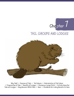 Chapter - Scouts Canada Wiki