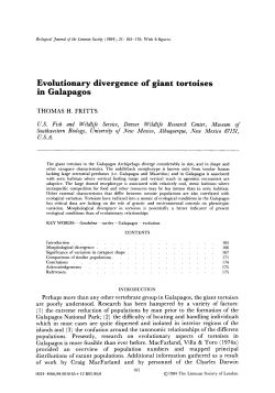 Evolutionary divergence of giant tortoises in